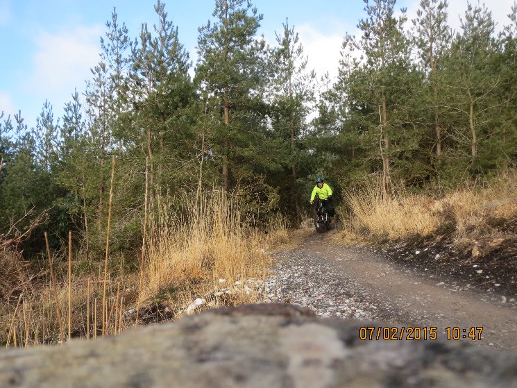 Challenge Trail - Haldon Forest