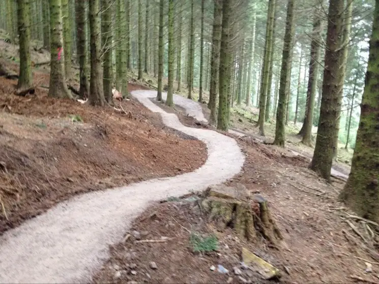 Whinlatter Altura Trail - 1st section of Blue has 