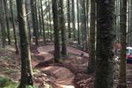 First new trail in Nant Yr Arian forest in around 10 years. Designed and constructed by Xtreme Track Ltd. 