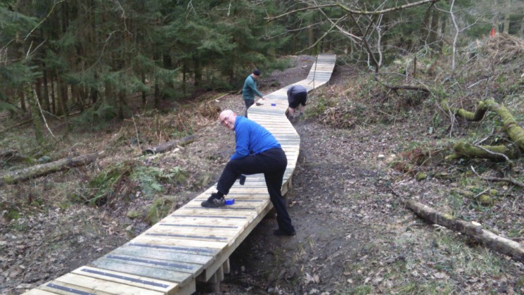 Freeminer Trail - The Forest of Dean