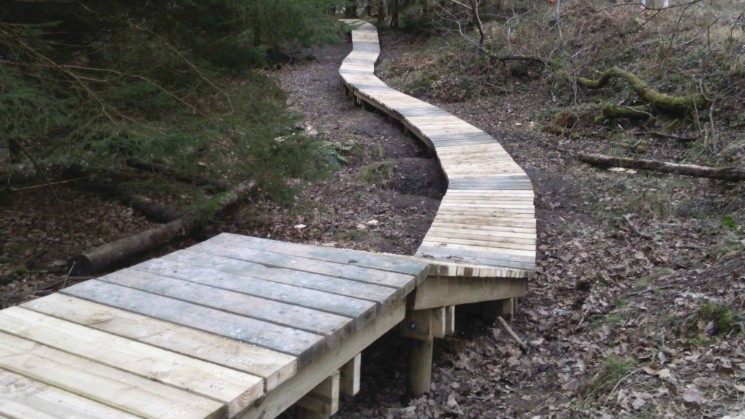 Freeminer Trail - The Forest of Dean