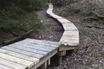 New Northshore section finished on the Freeminers Red Trail due to open soon at the Forest of Dean.