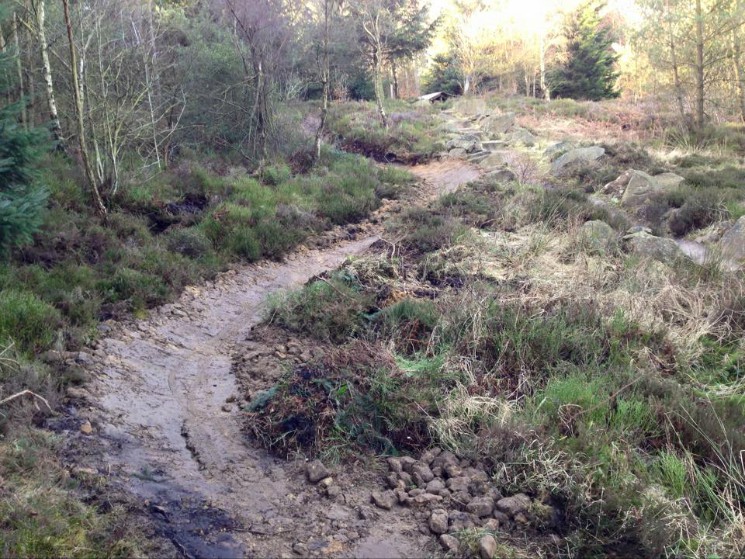 Dalby Forest Mountain Bike Trail Centre