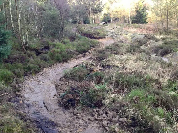 The trail crew have been busy at Dalby Forest with