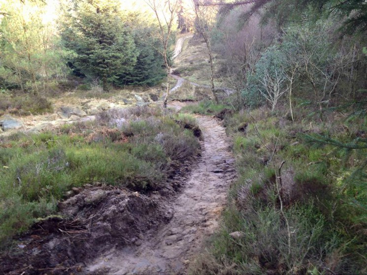 Dalby Forest Mountain Bike Trail Centre