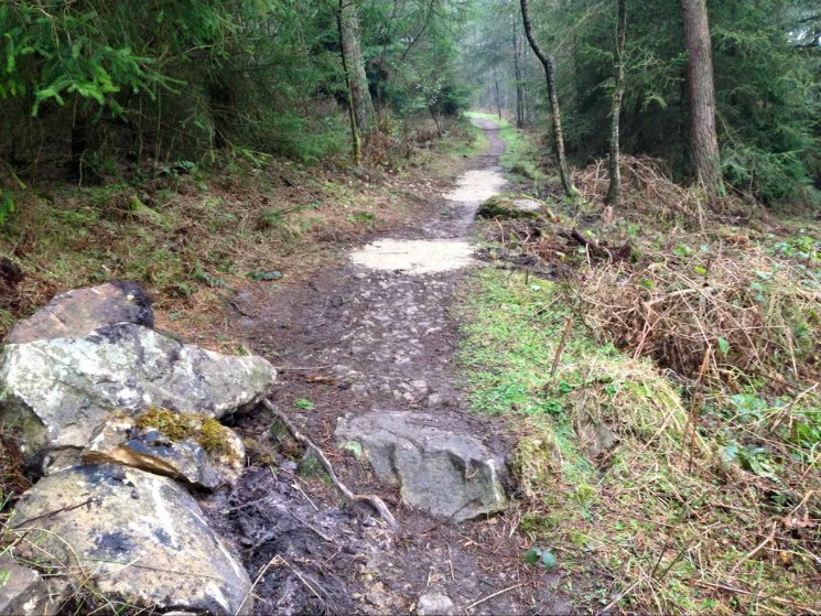 Dalby Forest Mountain Bike Trail Centre