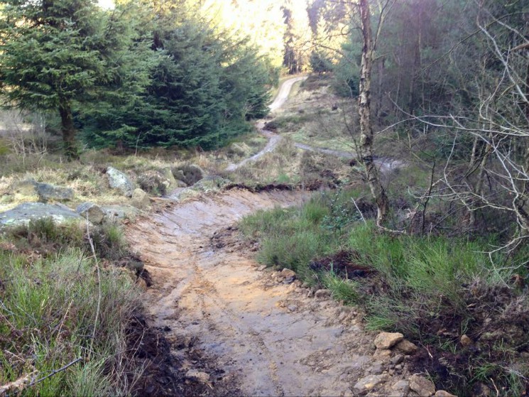 Dalby Forest Mountain Bike Trail Centre