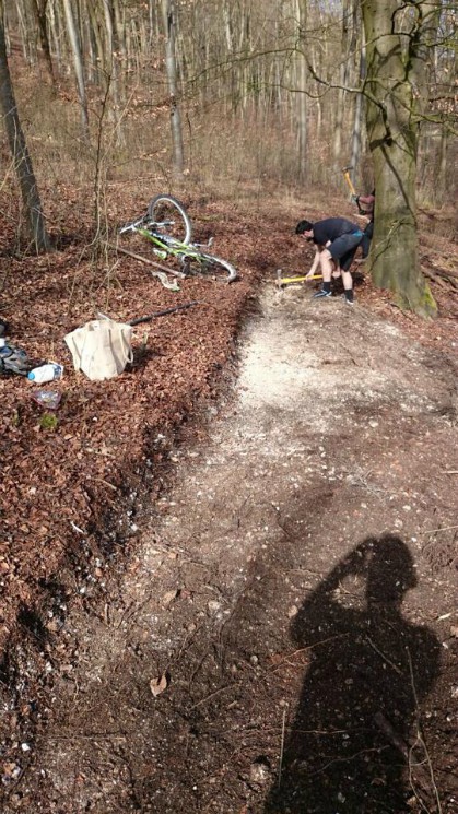 Queen Elizabeth Country Park Mountain Bike Trails
