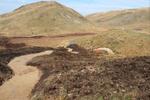 A new track full of jumps and berms is being built at Antur Stiniog in North Wales by the guys at Xtreme Track and is due to open in a couple of weeks.