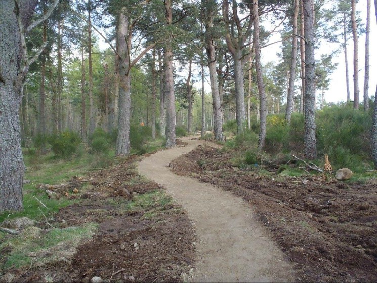 Tarland Mountain Bike Trails