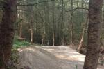 New red trail at Revolution Bike Park in North Wales