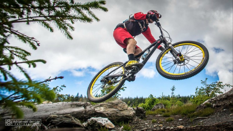 Vitus Bikes Gravity Enduro