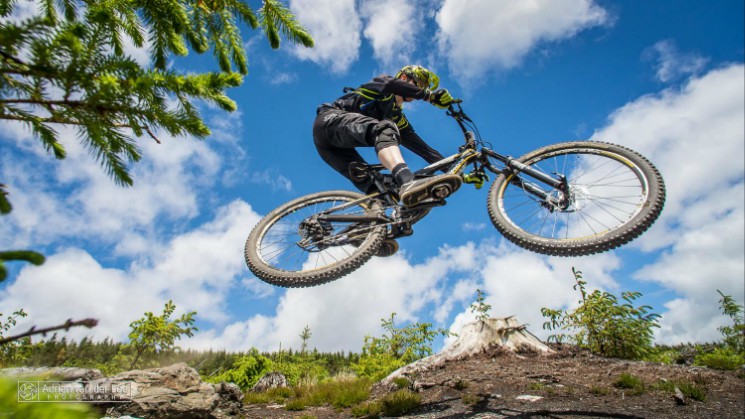 Vitus Bikes Gravity Enduro