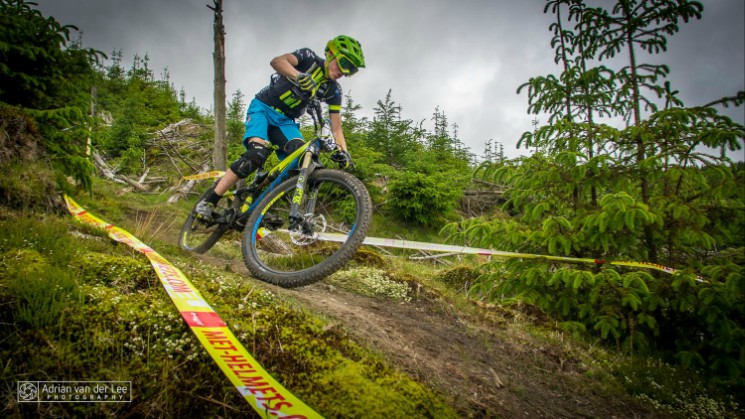 Vitus Bikes Gravity Enduro