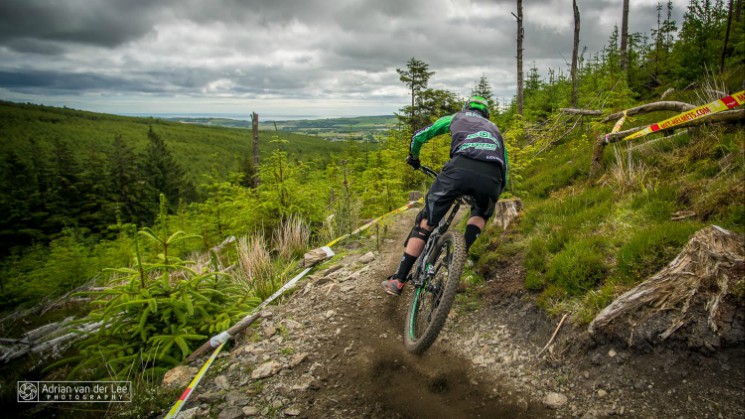 Vitus Bikes Gravity Enduro