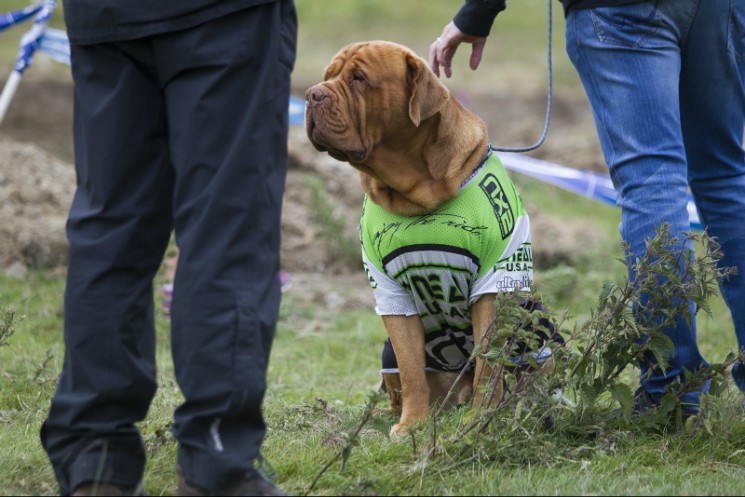 2015 Schwalbe 4X National Championships - Moelfre