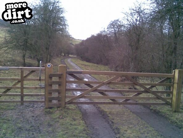 Dalby Forest Red Trail