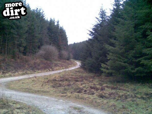 Dalby Forest Red Trail