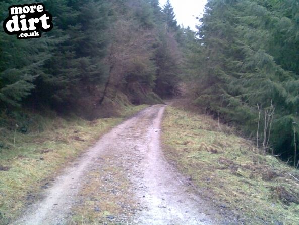 Dalby Forest Red Trail