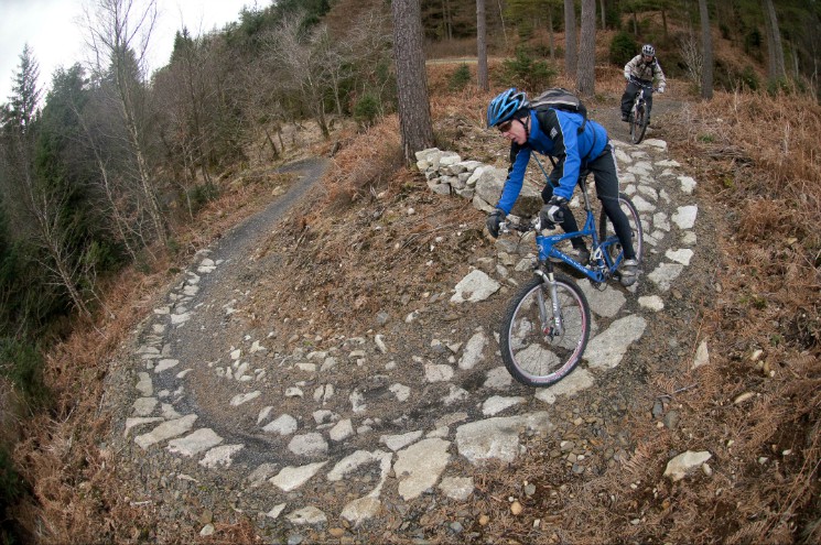 Kirroughtree Trail Centre