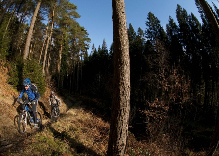 Kirroughtree Trail Centre