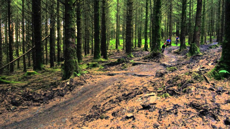 Bike Park Wales