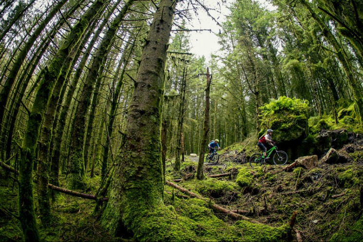 Davagh Forest Mountain Bike Trail Centre
