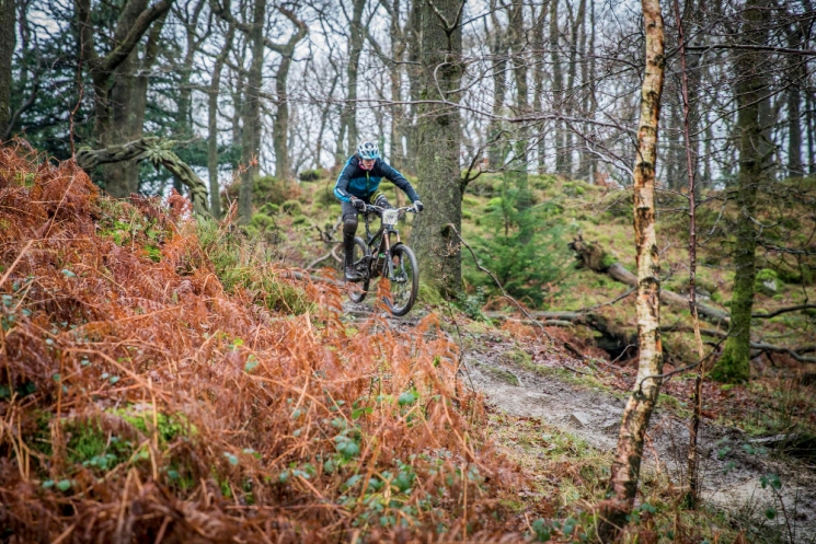 Grizedale Mountain Bike Trail Centre
