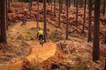 New Freeride Mountain Bike Area Planned For Swinley Forest.