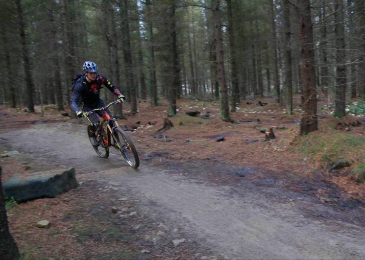 Grenoside Woods Mountain Bike Trails