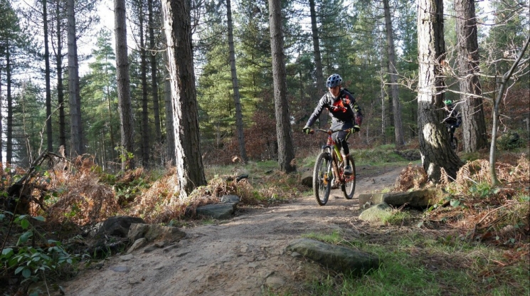 Grenoside Woods Mountain Bike Trails