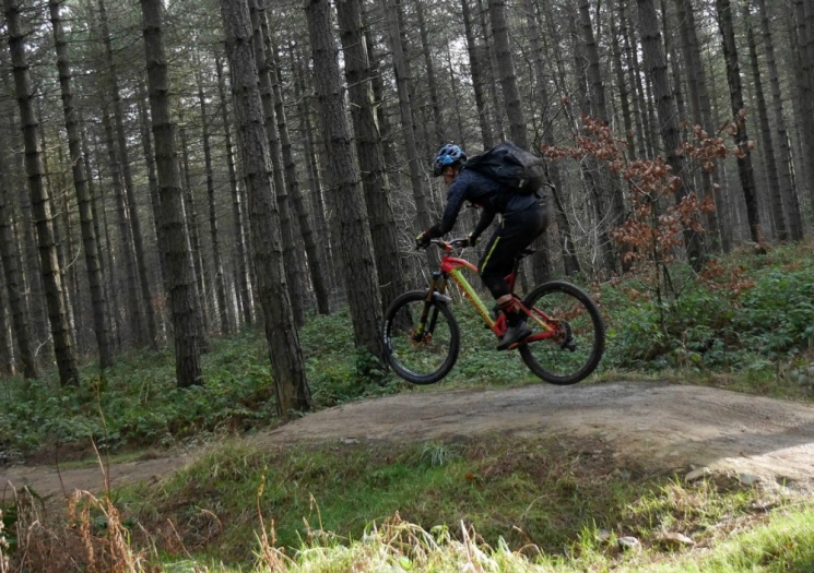 Grenoside Woods Mountain Bike Trails