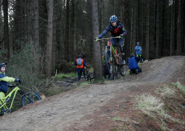 Grenoside Woods Mountain Bike Trails