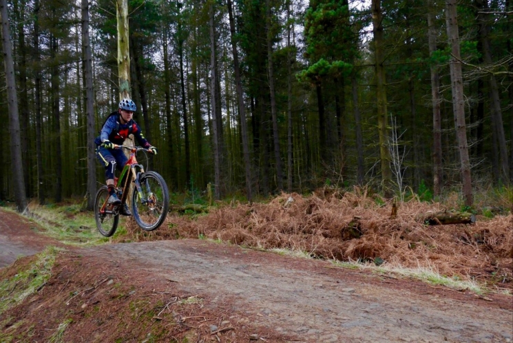 Grenoside Woods Mountain Bike Trails