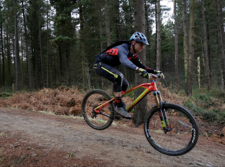 Grenoside Woods Mountain Bike Trails