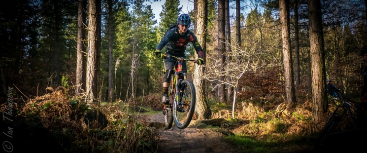 Grenoside Woods Mountain Bike Trails