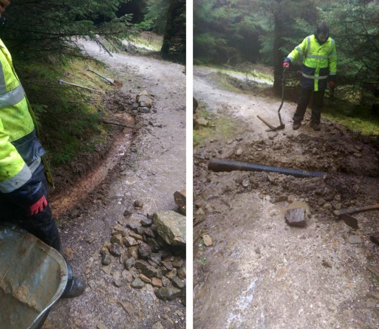 Gisburn Forest Mountain Bike Trails
