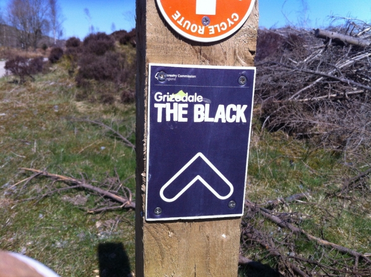 Grizedale Mountain Bike Trail Centre