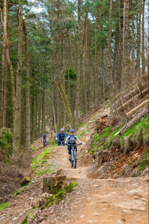 Twrch Trail - Cwmcarn