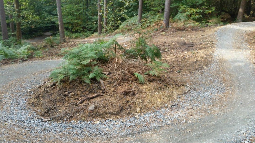 Bedgebury Forest Mountain Bike Trails