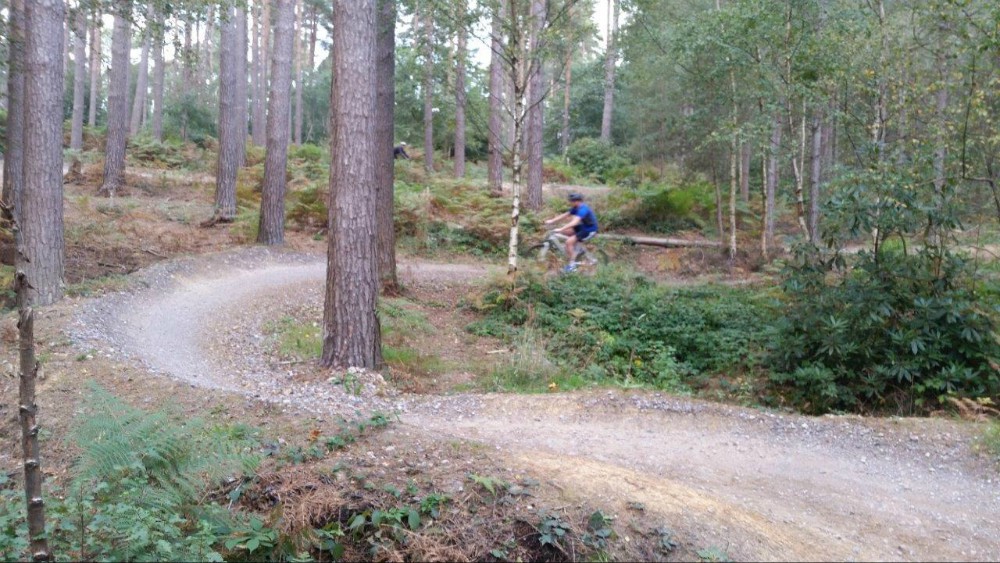 Bedgebury Forest Mountain Bike Trails