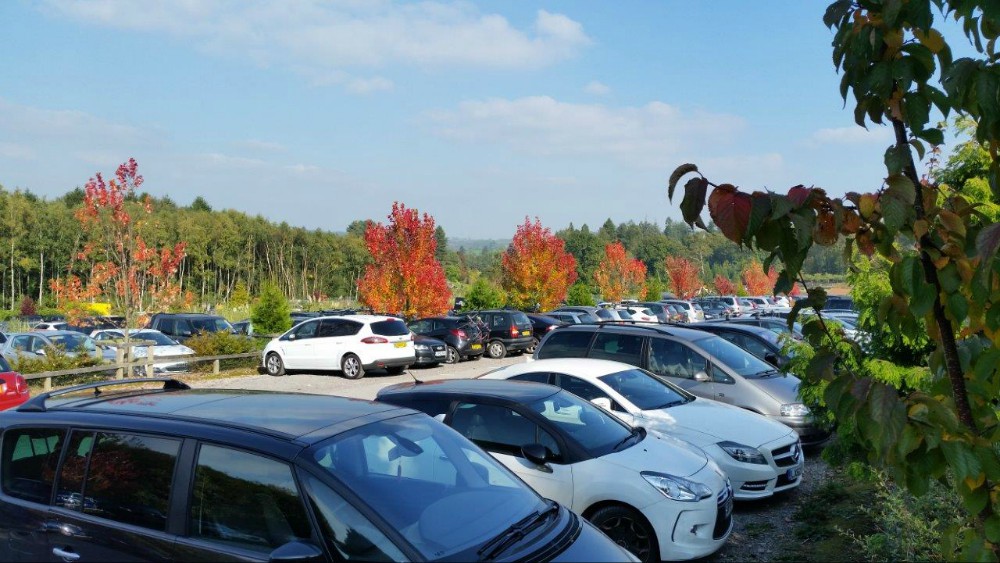 Bedgebury Forest Mountain Bike Trails