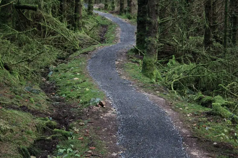 Lonesome Pine Trail - Kielder Forest