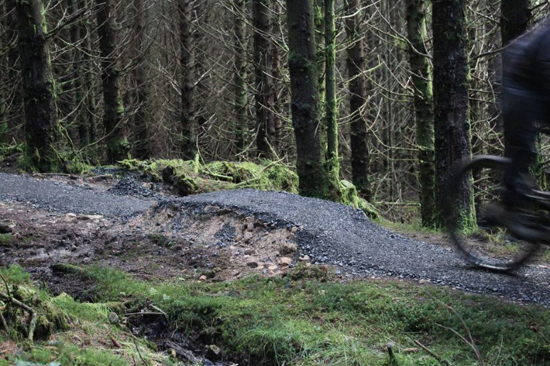 Lonesome Pine Trail - Kielder Forest