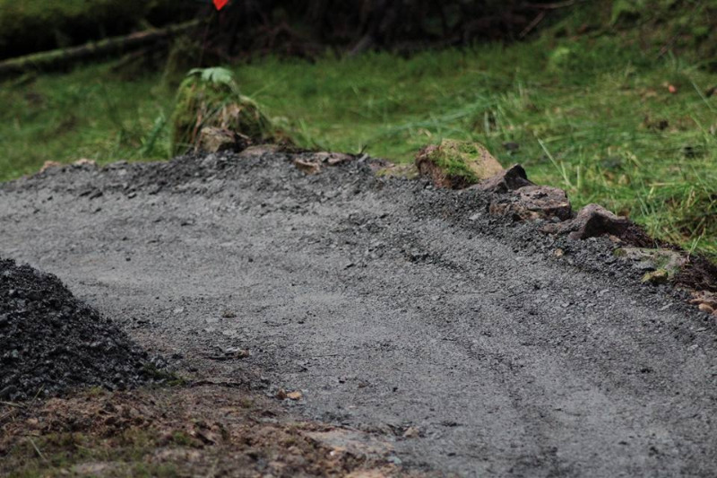 Lonesome Pine Trail - Kielder Forest