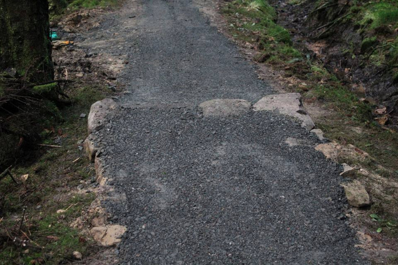 Lonesome Pine Trail - Kielder Forest