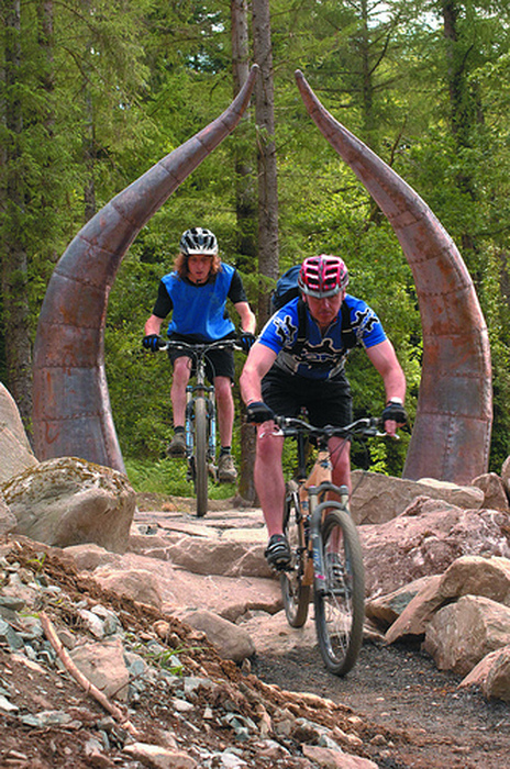 Coed y Brenin Mountain Bike Trail Centre