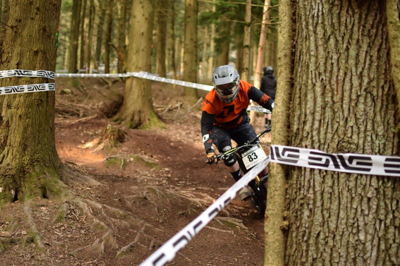 Forest of Dean Mountain Bike Trails