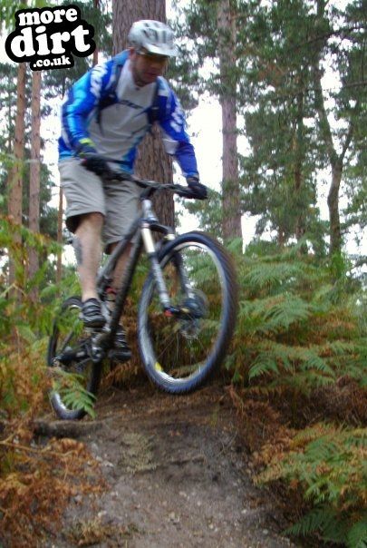 Swinley Forest Mountain Bike Centre