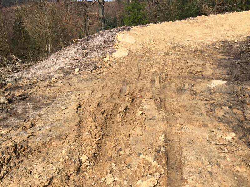 Dalby Forest Mountain Bike Trail Centre